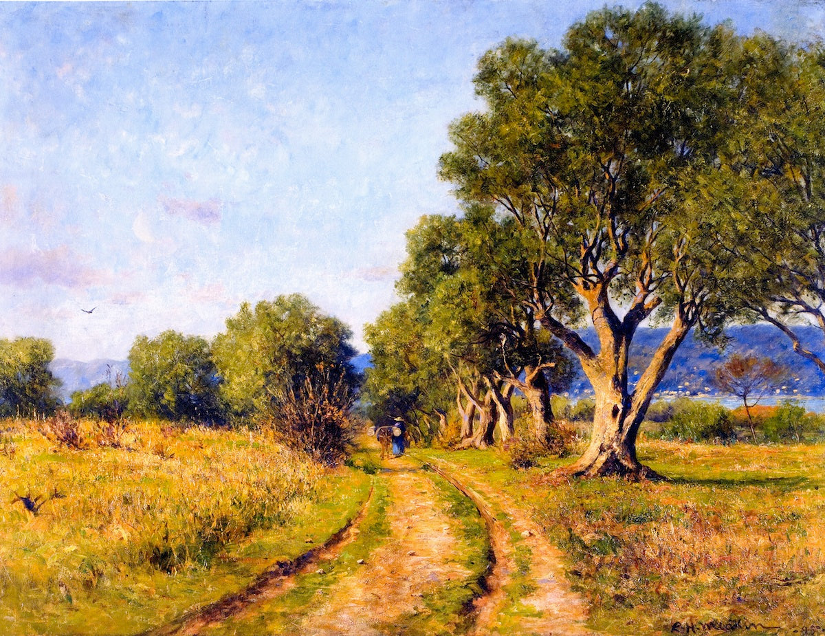 Olive Trees, Mediterranean Coast, vintage artwork by Lewis Henry Meakin, 12x8" (A4) Poster