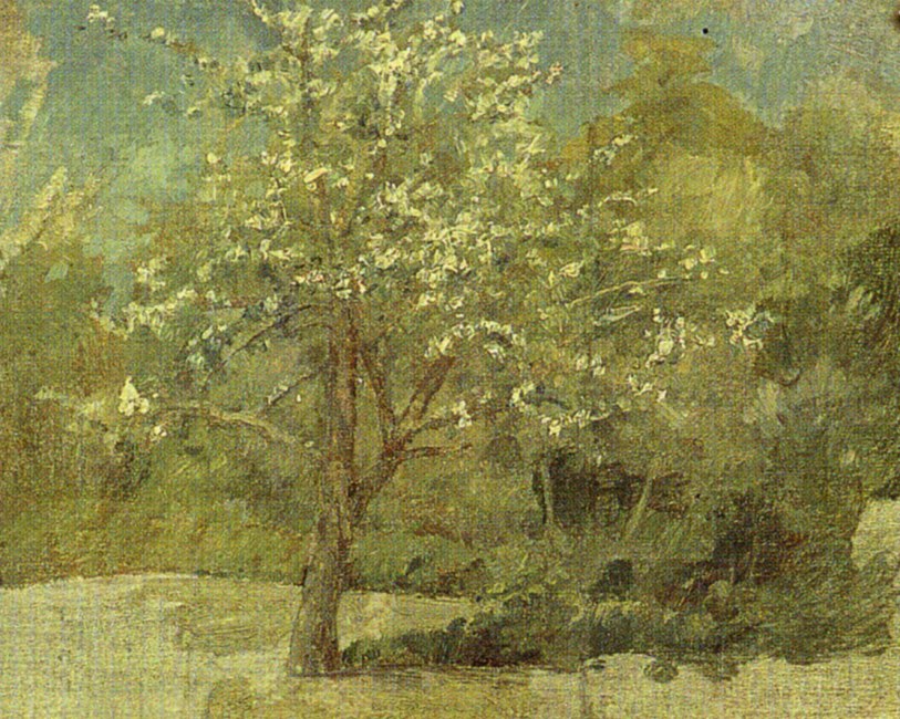 Apple Tree (sketch) by Johan Krouthen,A3(16x12")Poster