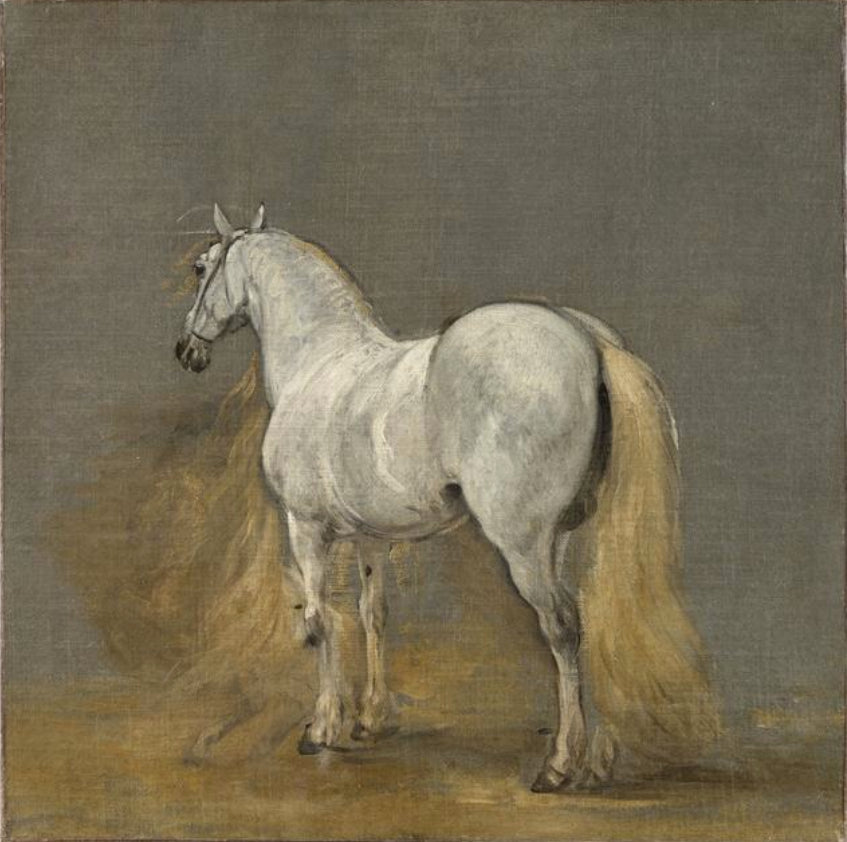Study of a white horse, vintage artwork by Adam Frans van der Meulen, 12x8" (A4) Poster