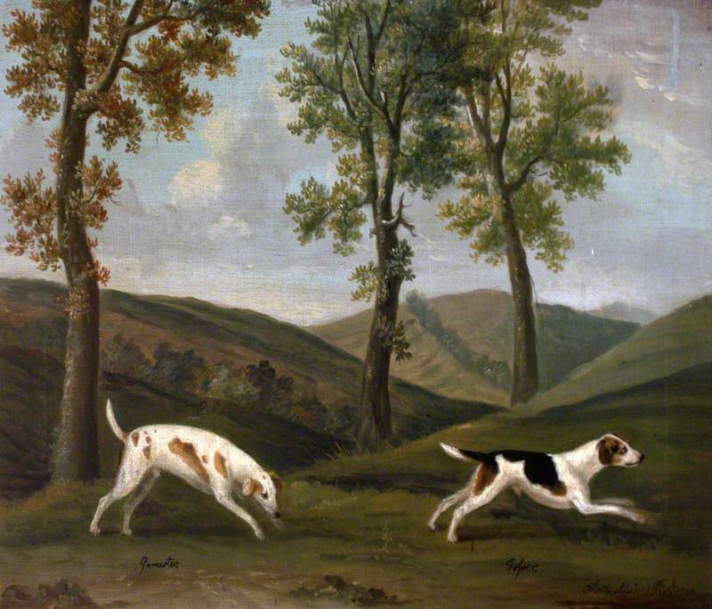 Gamertes and Josser, a Pair of Hounds, vintage artwork by Francis Sartorius, 12x8" (A4) Poster