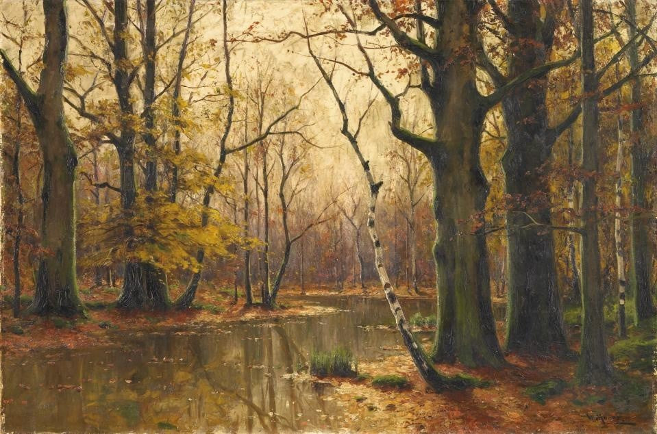 Forest in Autumn by Walter Moras,A3(16x12")Poster