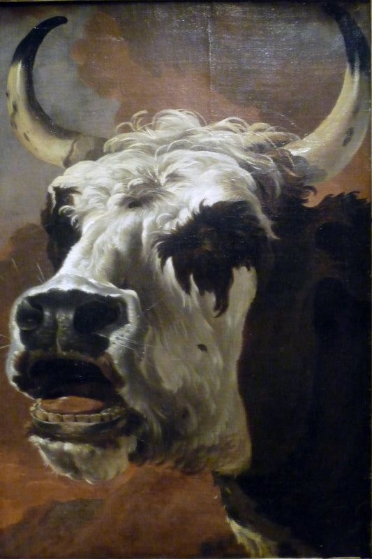 Oxen Head, vintage artwork by Jan Asselijn, 12x8" (A4) Poster