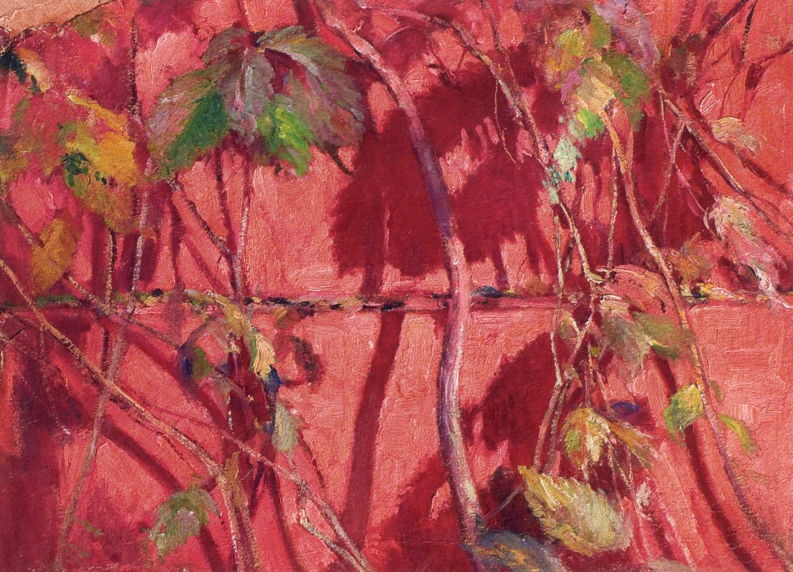 Grapevine Against the Wall by Mikhail Tkachenko,A3(16x12")Poster