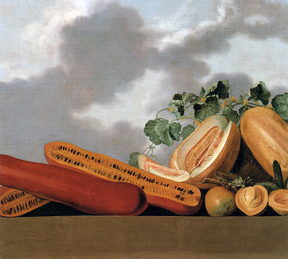 Pumpkins and melons, vintage artwork by Albert Eckhout, 12x8" (A4) Poster
