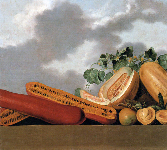 Pumpkins and melons, vintage artwork by Albert Eckhout, 12x8" (A4) Poster