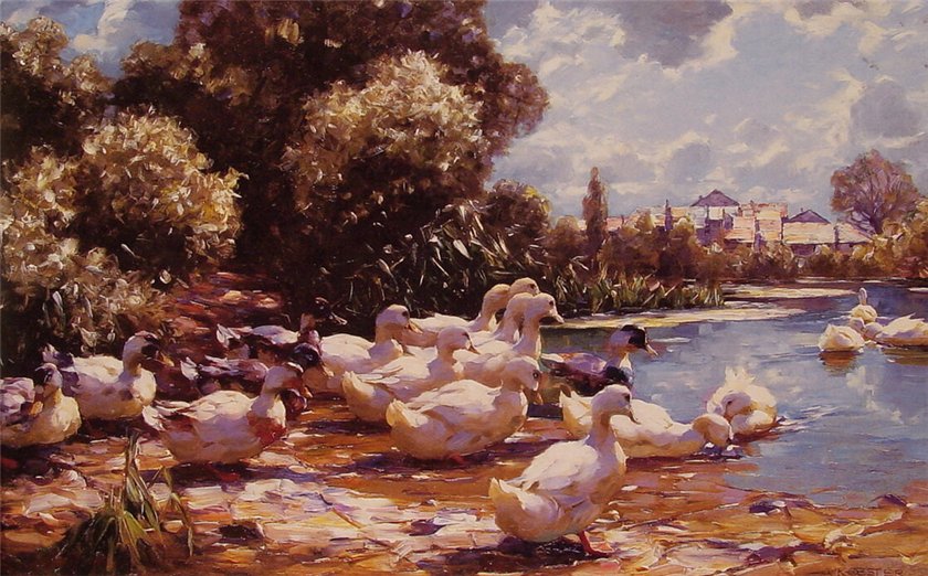 Midday Swim by Alexander Koester,A3(16x12")Poster