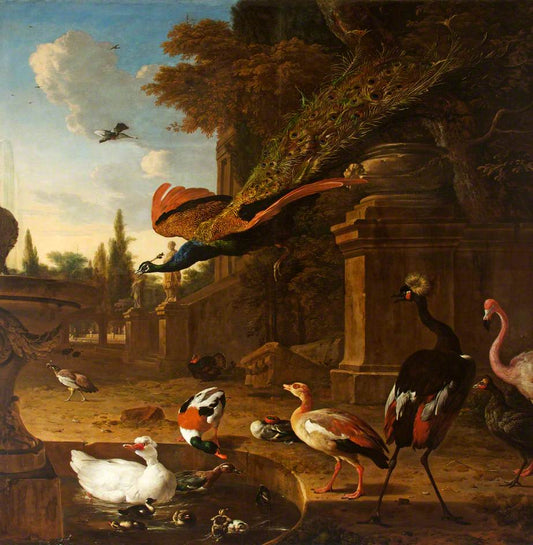 Ornamental Fowl in and beside a Pond with a Peacock in Flight, vintage artwork by Melchior d'Hondecoeter, 12x8" (A4) Poster