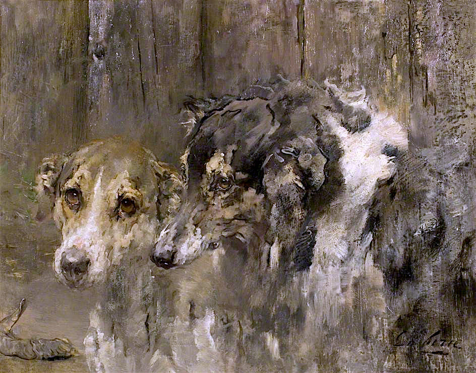 Heads of Two Dogs, vintage artwork by Sir George Pirie, 12x8" (A4) Poster