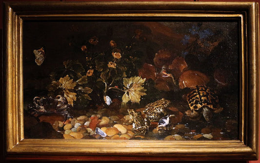 Undergrowth with crab, butterflies, toads, shells and turtles, vintage artwork by Paolo Porpora, 12x8" (A4) Poster