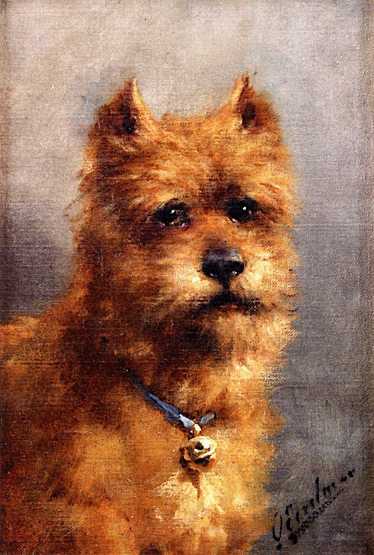 A Terrier, vintage artwork by Otto Eerelman, 12x8" (A4) Poster