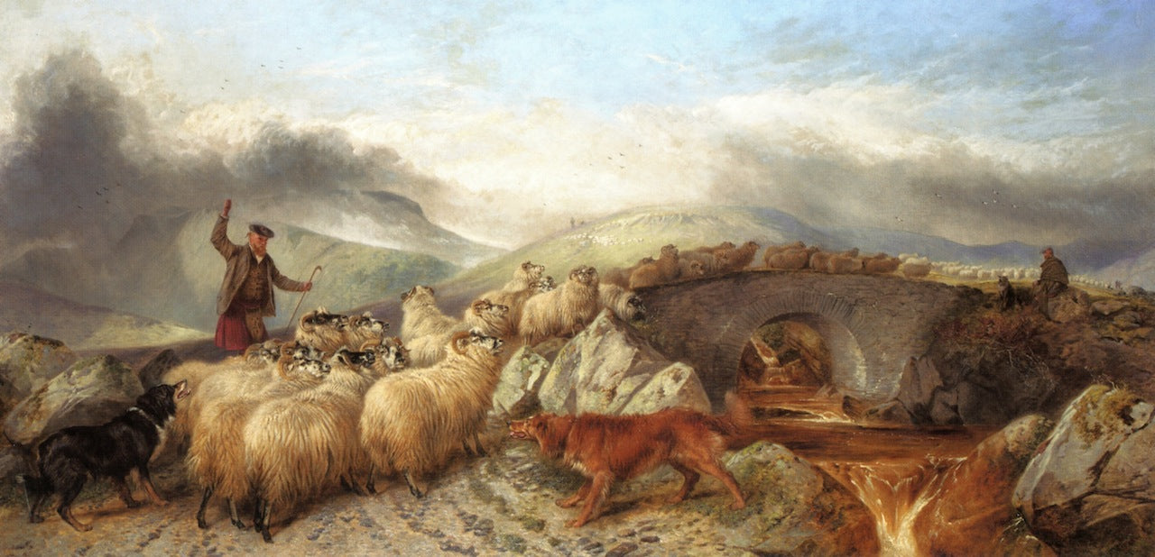 Collecting Sheep for Clipping in the Highlands, vintage artwork by Richard Ansdell, A3 (16x12") Poster Print