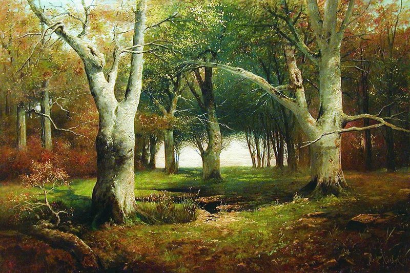 Old Trees in the Forest, vintage artwork by Julius Klever, 12x8" (A4) Poster
