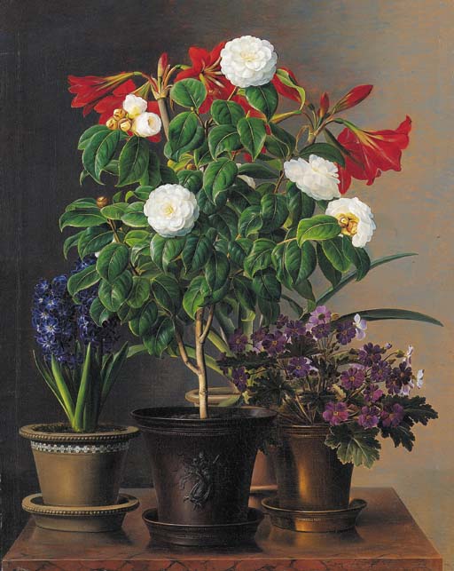 Camelias, amaryllis, hyacinth and violets in ornamental pots on a marble ledge, vintage artwork by Johan Laurentz (J.L.) Jensen, A3 (16x12") Poster Print