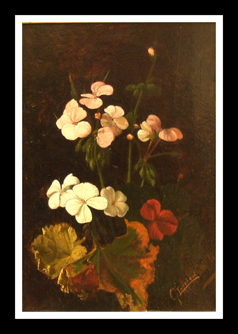 Flowers Posy, vintage artwork by Giorgio Lucchesi, 12x8" (A4) Poster