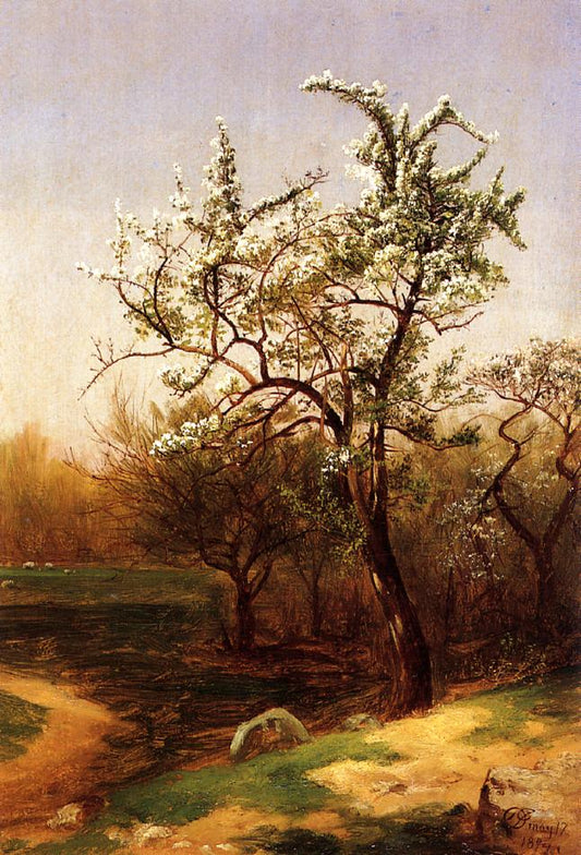 Pear Blossoms, vintage artwork by David Johnson, 12x8" (A4) Poster