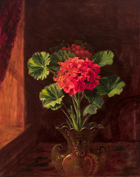 Geranium, vintage artwork by Edward Edmondson, 12x8" (A4) Poster