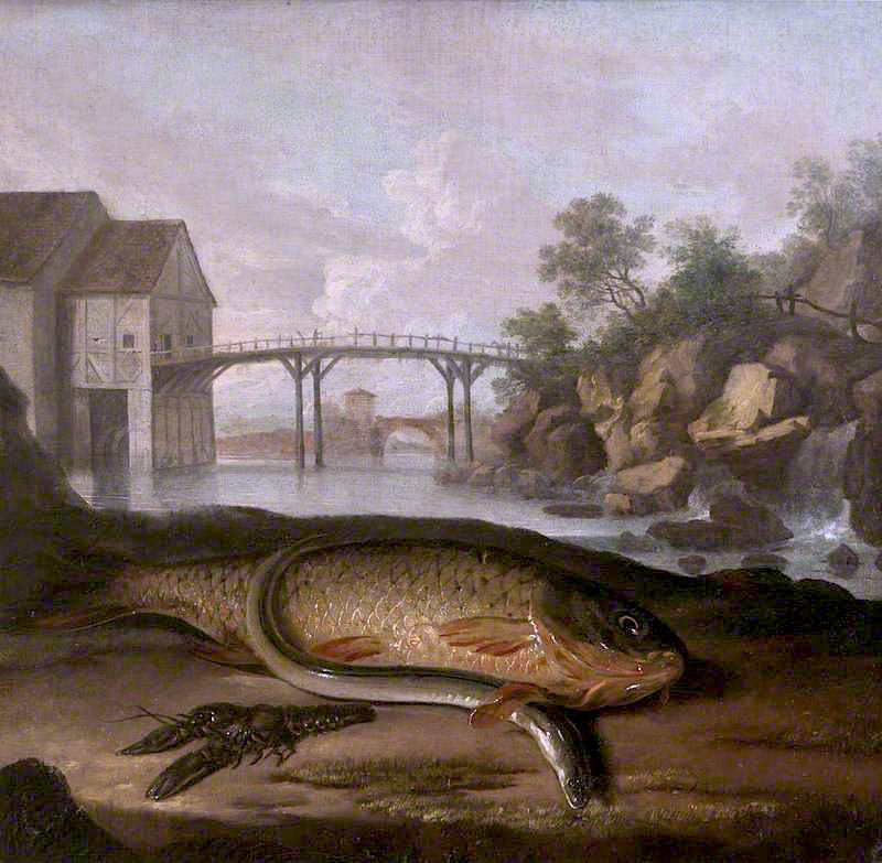 Common Carp, Freshwater Crayfish and Eel, in an Imaginary French Setting, vintage artwork by Arthur Devis, 12x8" (A4) Poster