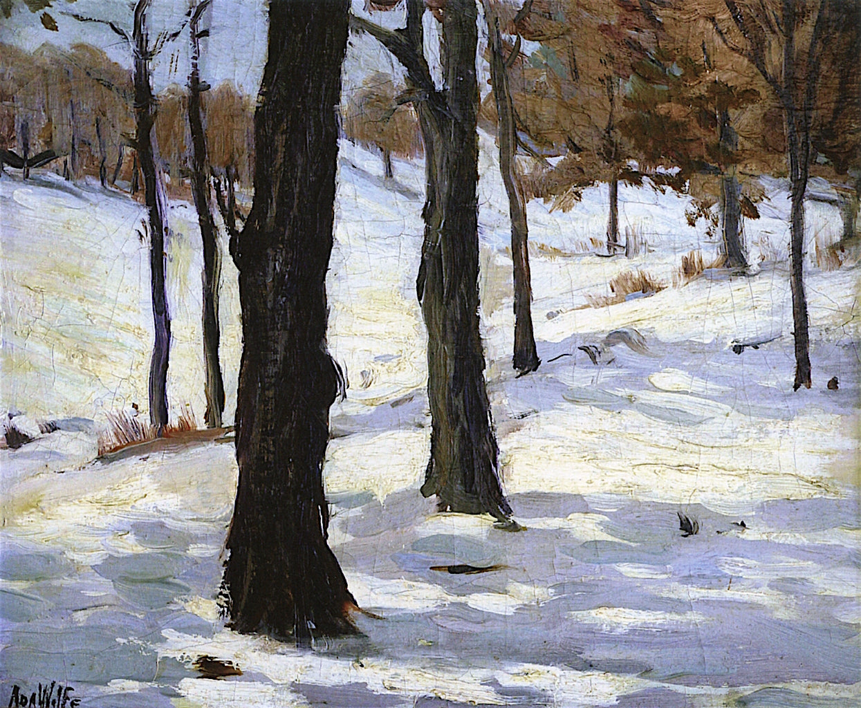 Snow and Trees at White Bear by Ada Augusta Wolfe,16x12(A3) Poster