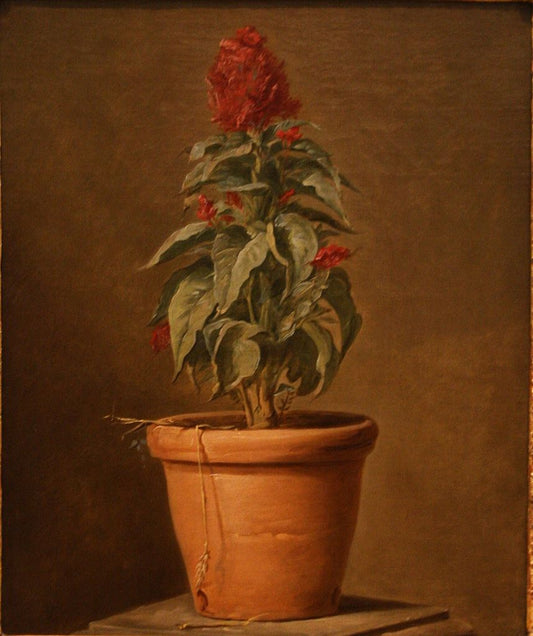 A Potted Plant, vintage artwork by Henri-Horace Roland Delaporte, 12x8" (A4) Poster