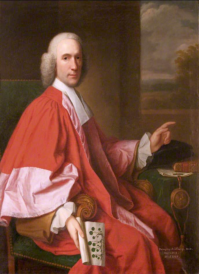 Humphrey Sibthorp, MD, vintage artwork by Adriaen Carpentiers, 12x8" (A4) Poster