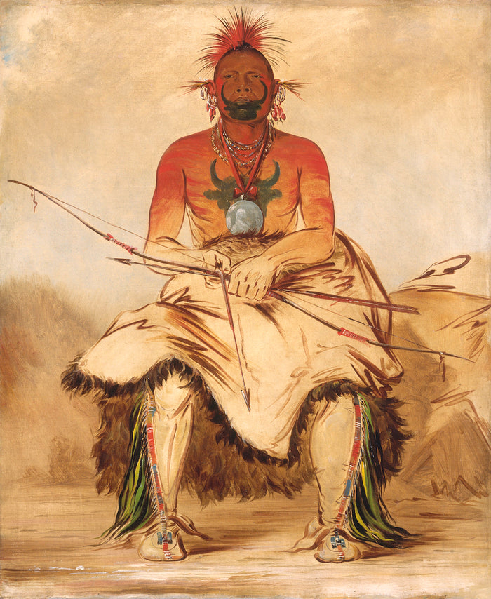 La-dóo-ke-a, Buffalo Bull, a Grand Pawnee Warrior, vintage artwork by George Catlin, A3 (16x12