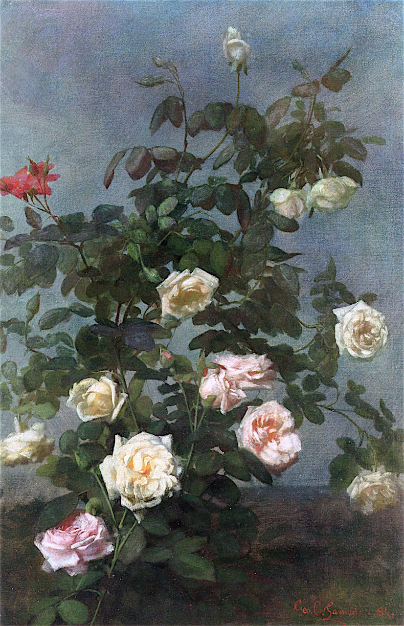 Spray of Roses, vintage artwork by George Cochran Lambdin, 12x8" (A4) Poster