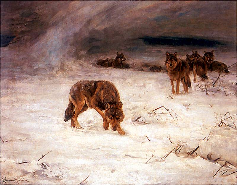 Wolves during Blizzard, vintage artwork by Alfred von Wierusz-Kowalski, 12x8" (A4) Poster
