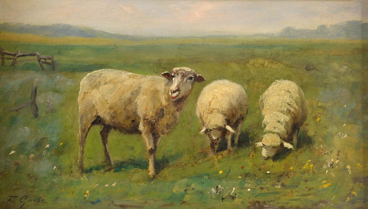 Three Sheep, vintage artwork by Fritz Grebe, 12x8" (A4) Poster