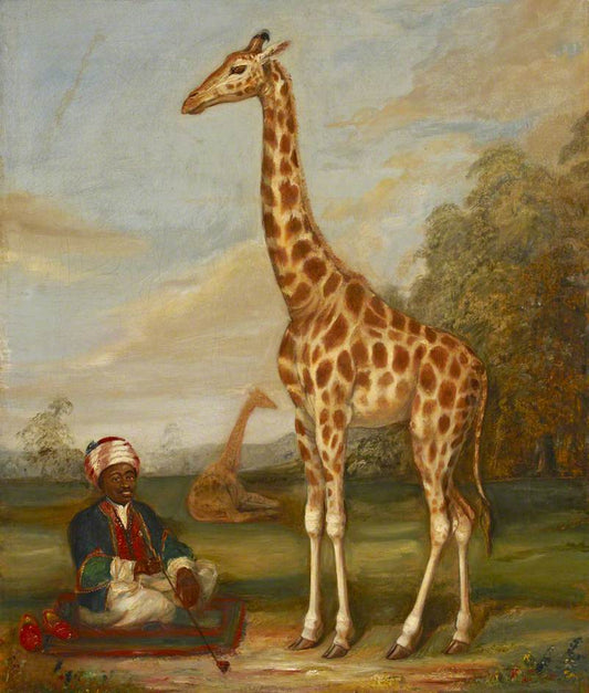 Two Giraffes with a Seated Indian Attendant in a Savannah Landscape, vintage artwork by Jacques-Laurent Agasse, 12x8" (A4) Poster