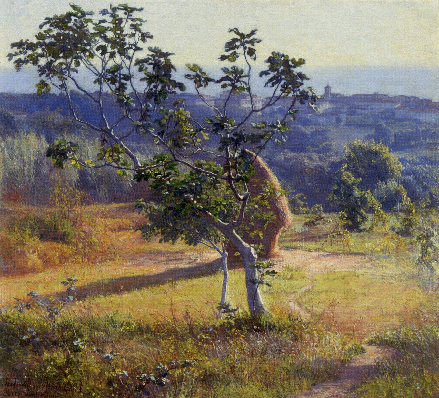 Antignano outskirts by Elin Kleopatra Danielson-Gambogi,A3(16x12")Poster