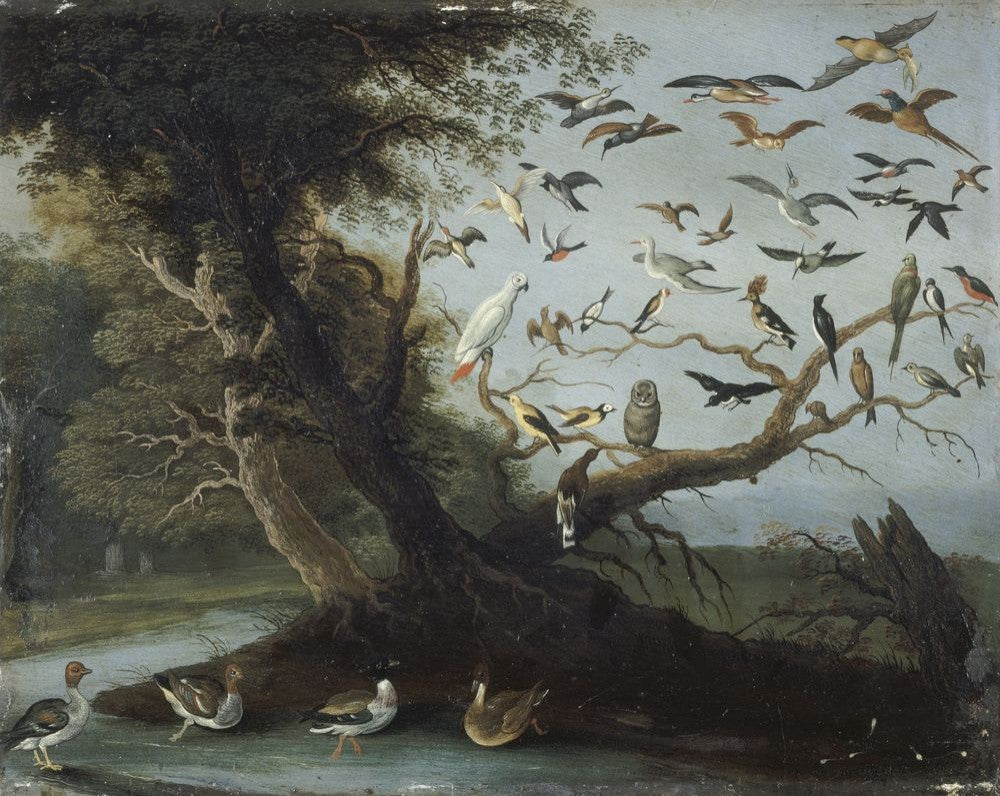 L’arbre aux oiseaux, vintage artwork by Jan van Kessel the Elder, 12x8" (A4) Poster