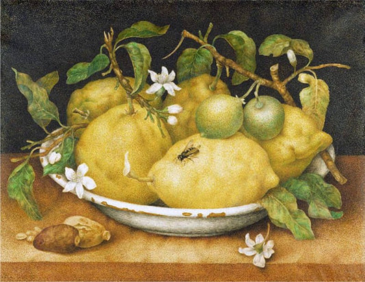 Still Life with a Bowl of Citrons, vintage artwork by Giovanna Garzoni, 12x8" (A4) Poster