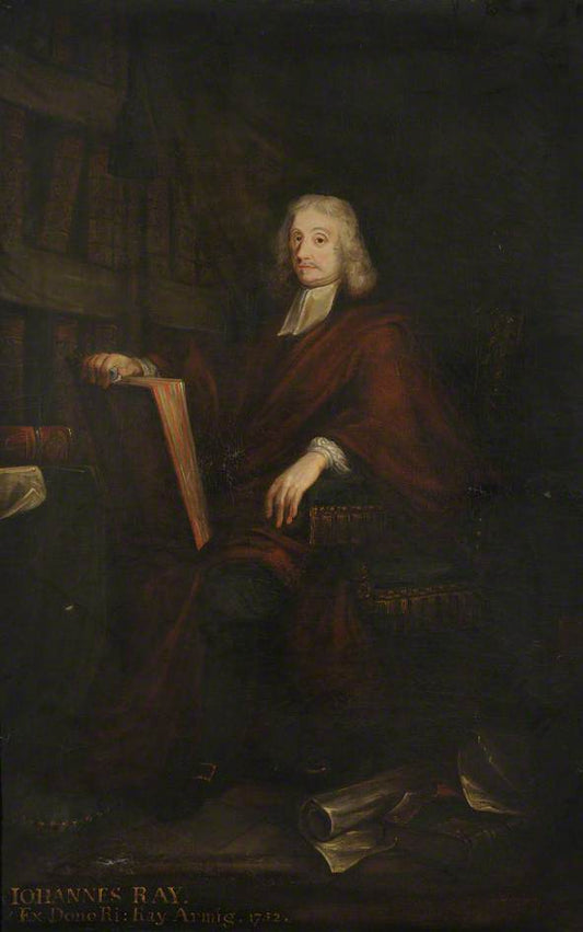 John Ray, Father of English Natural History, vintage artwork by Thomas Hudson, 12x8" (A4) Poster