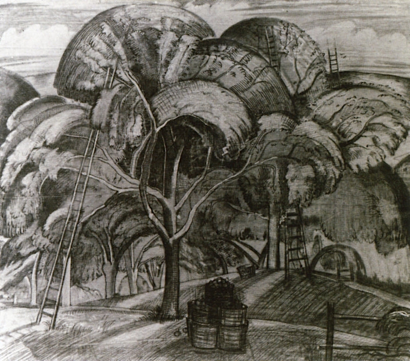 Drawing of an Orchard by Paul Nash,16x12(A3) Poster