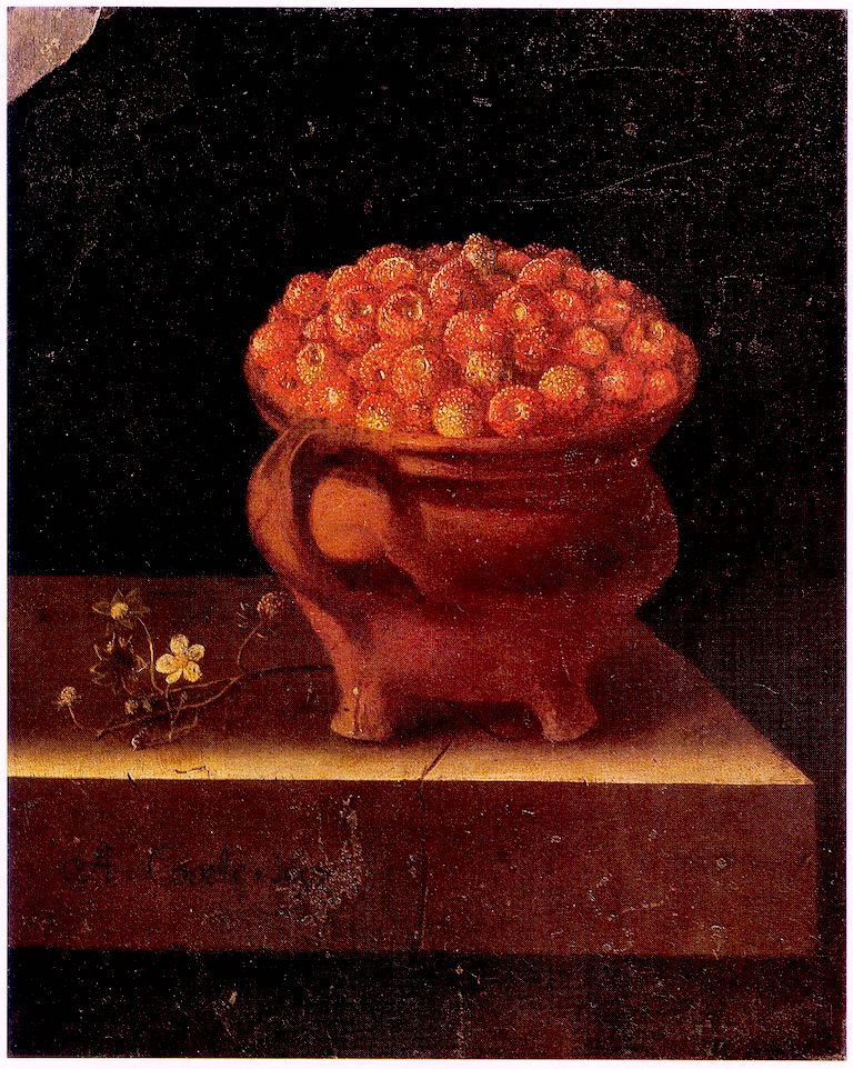 Strawberries in a Stone Jar, vintage artwork by Adriaen Coorte, 12x8" (A4) Poster