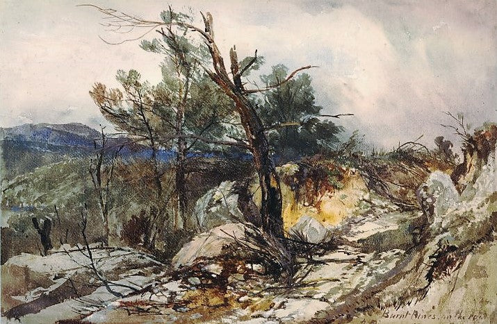 Burnt Pines on the road to Pinara, vintage artwork by William James Müller, A3 (16x12") Poster Print
