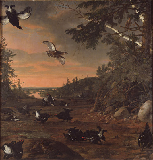 Black Cocks at Ground, vintage artwork by David Klocker Ehrenstrahl, 12x8" (A4) Poster
