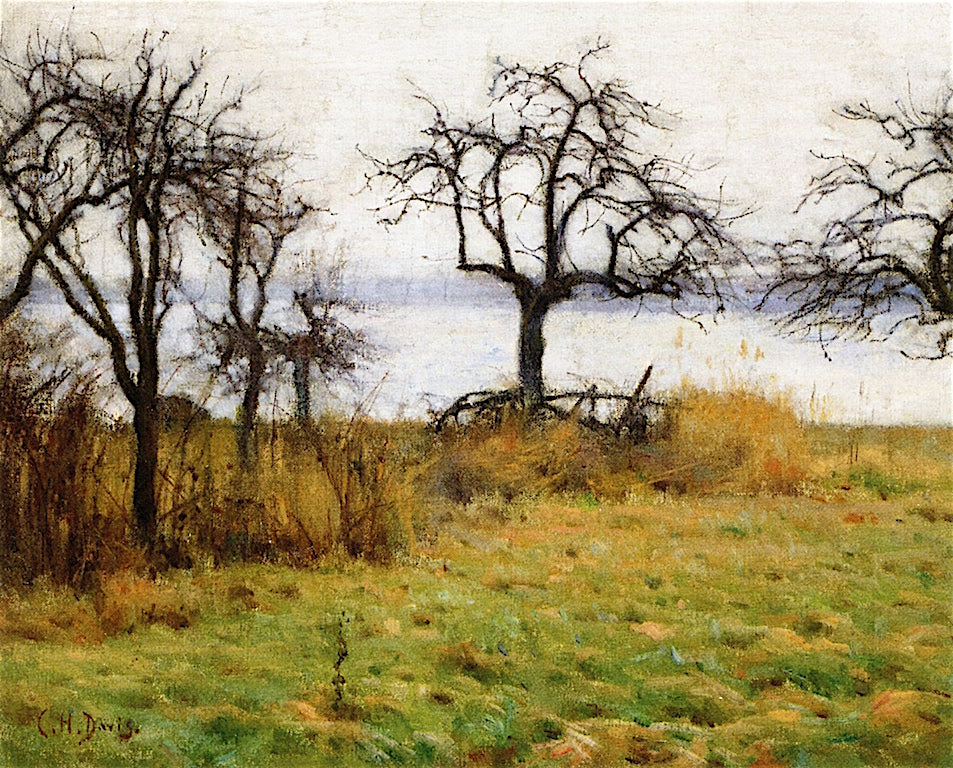 Grey Day, Early Winter by Charles Harold Davis,A3(16x12")Poster