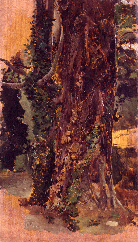 Viejo Arbol by Emilio Sala  Frances,A3(16x12")Poster