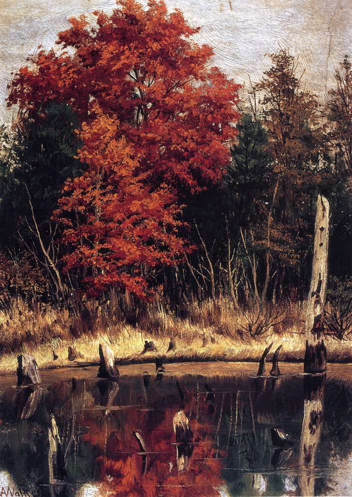 Autumn Wood in North Carolina with Tree Stumps in Water, vintage artwork by William Aiken Walker, 12x8" (A4) Poster