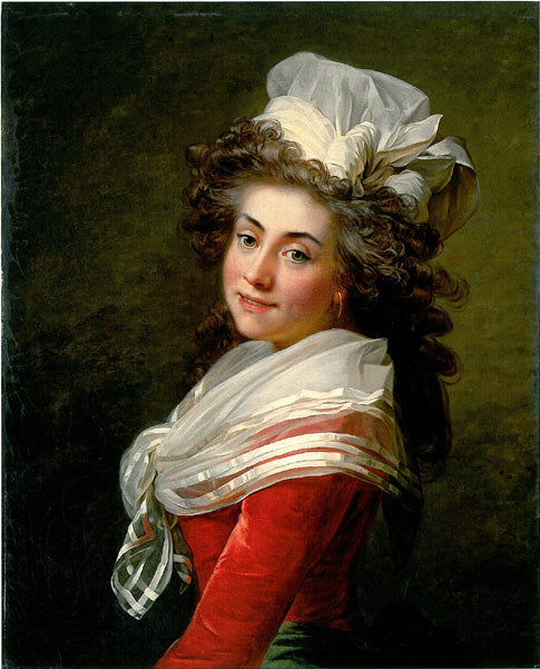 Portrait of the Marquise de Grecourt, nee de la Fresnaye, in a red velvet dress, vintage artwork by Jean Laurent Mosnier, 12x8" (A4) Poster