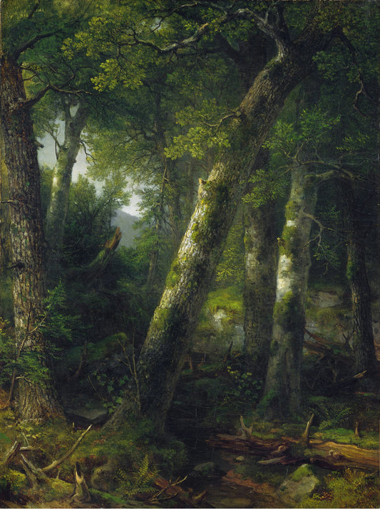 Forest in the Morning Light, vintage artwork by Asher Brown Durand, A3 (16x12") Poster Print