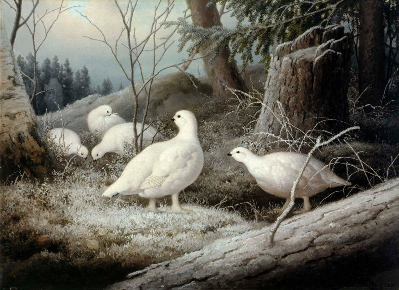 Ptarmigans, vintage artwork by Ferdinand von Wright, 12x8" (A4) Poster