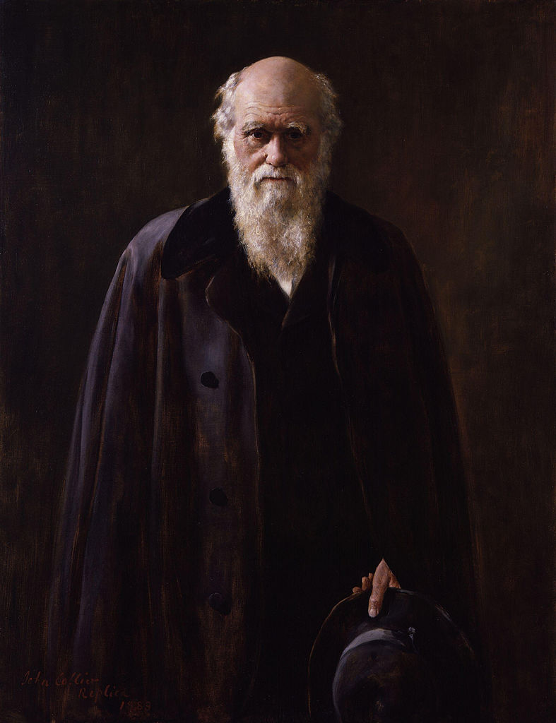 Charles Robert Darwin, vintage artwork by John Maler Collier, 12x8" (A4) Poster