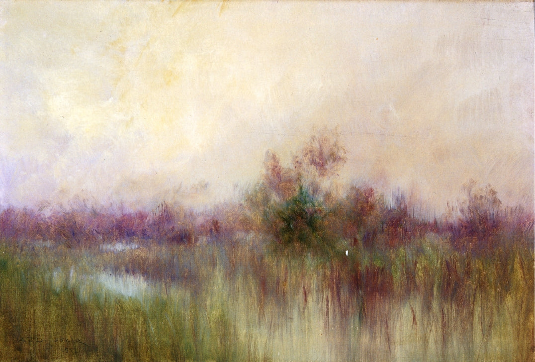 rly Morning ini a Louisiana Marsh by Alexander John Drysdale,A3(16x12")Poster