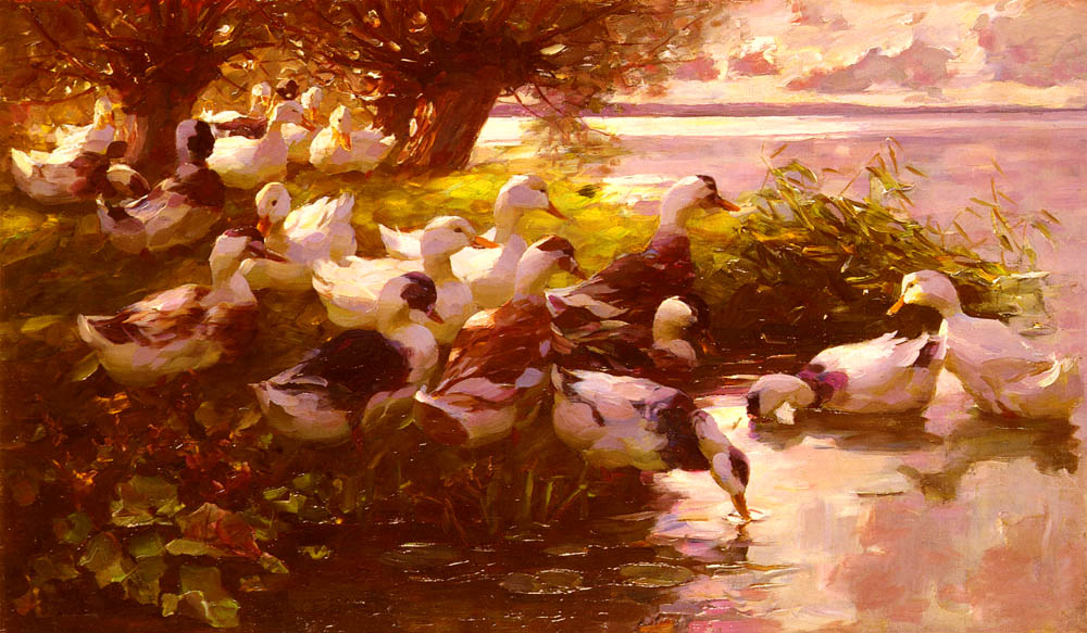 Ducks On A Lake by Alexander Koester,A3(16x12")Poster