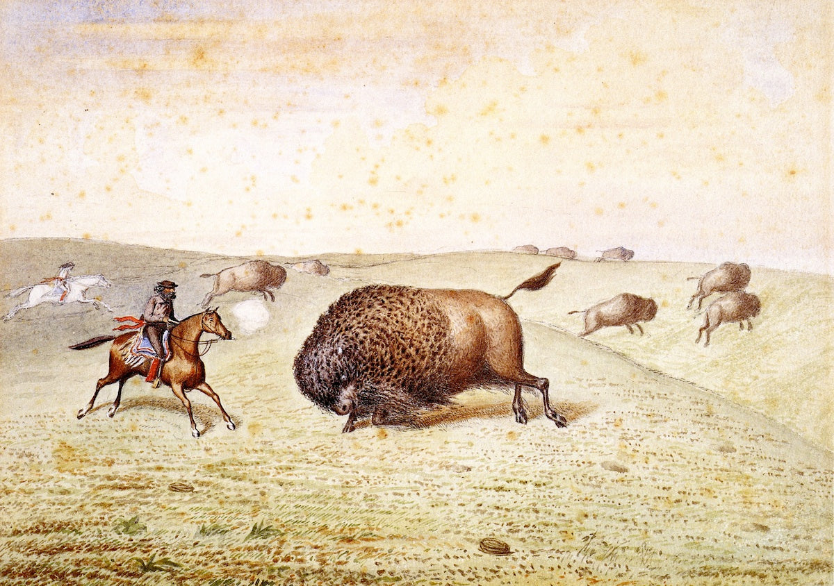 William Hind Meeting a Buffalo, vintage artwork by William George Richardson Hind, 12x8" (A4) Poster