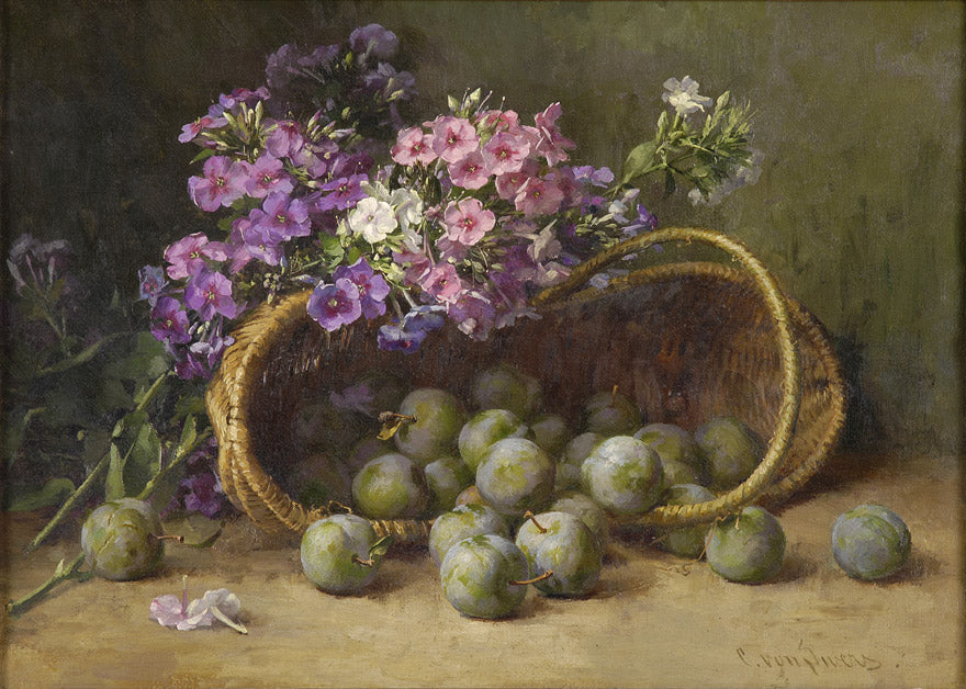 Phlox and Plums, vintage artwork by Clara von Sievers, 12x8" (A4) Poster