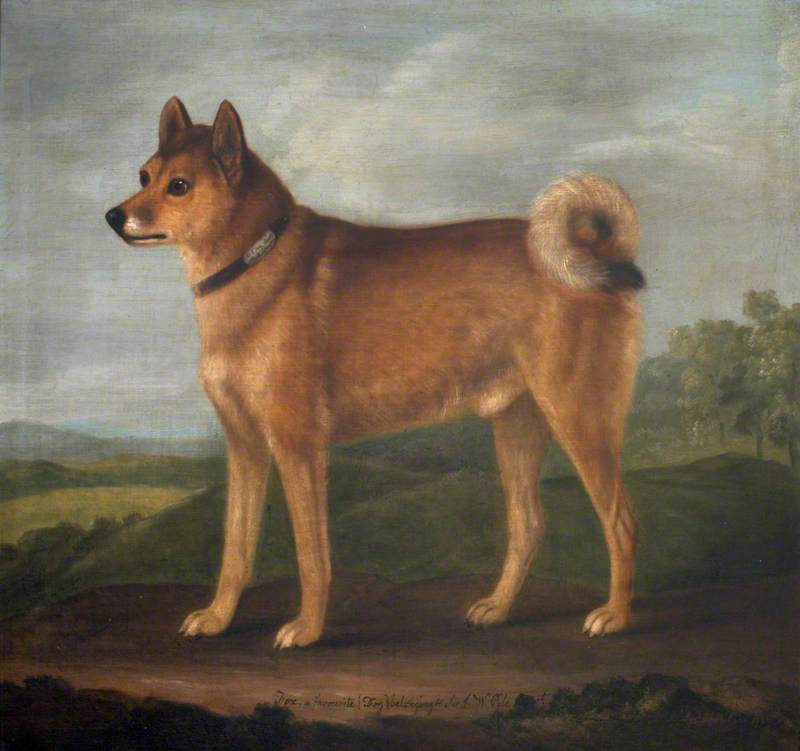 Fox, a Favourite Dog of Sir John William De la Pole, vintage artwork by Francis Sartorius, 12x8" (A4) Poster