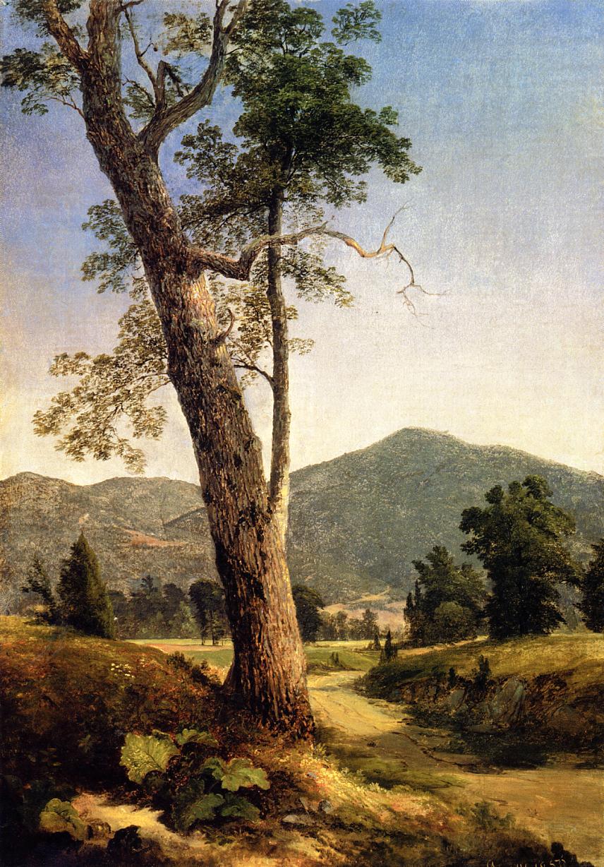 Landscape Beyond the Tree, vintage artwork by Asher Brown Durand, A3 (16x12") Poster Print